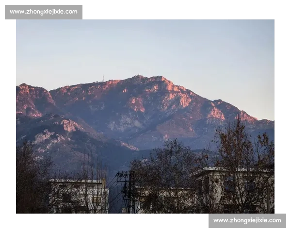 泰山困局：双线迷失下的重建之惑